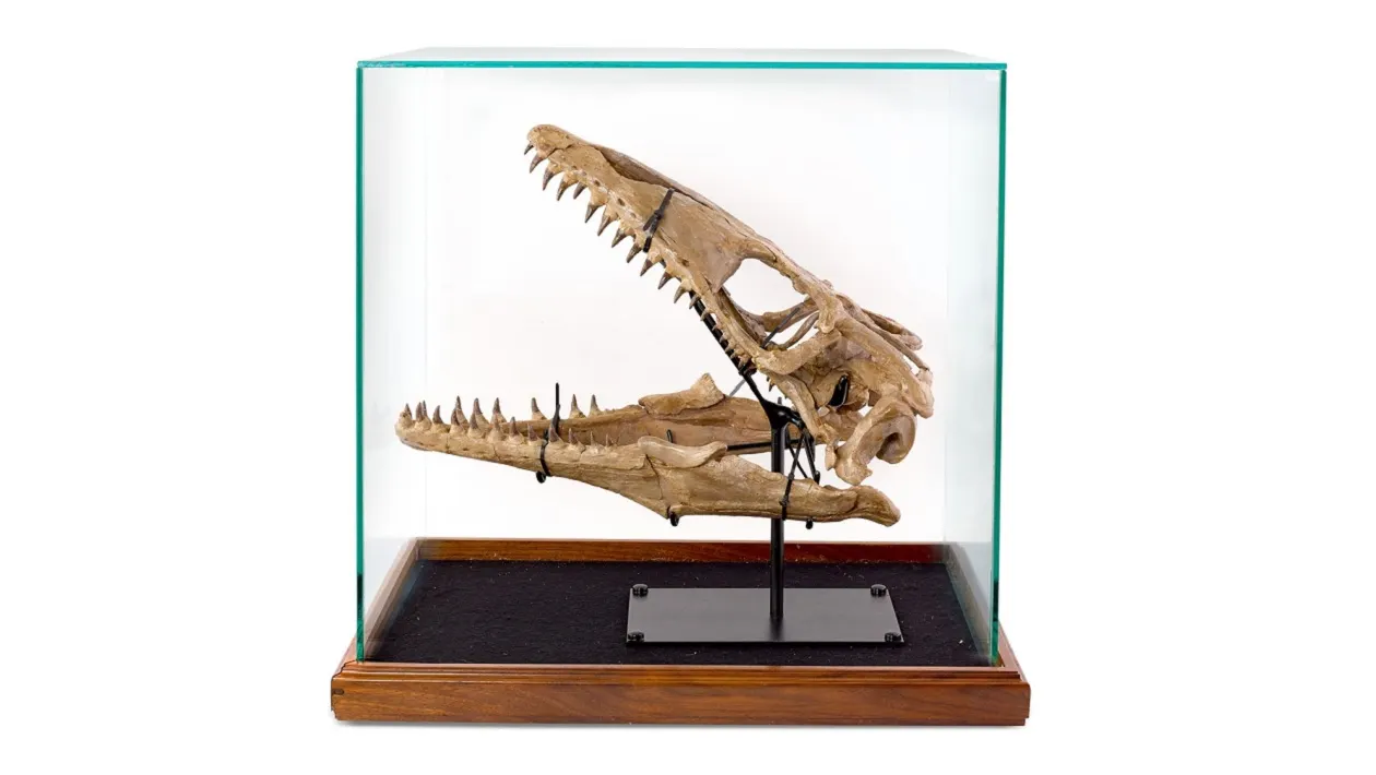 El dinosaurio de Russell Crowe
