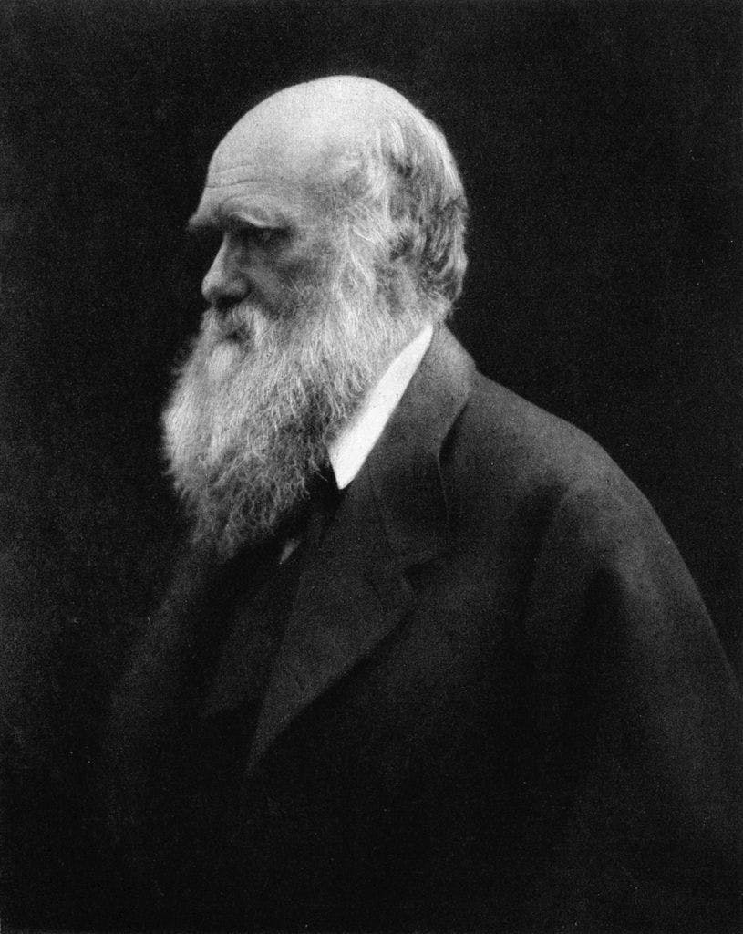 Julia Margaret Cameron (1815–1879), Charles Darwin, 1868. Public domain image