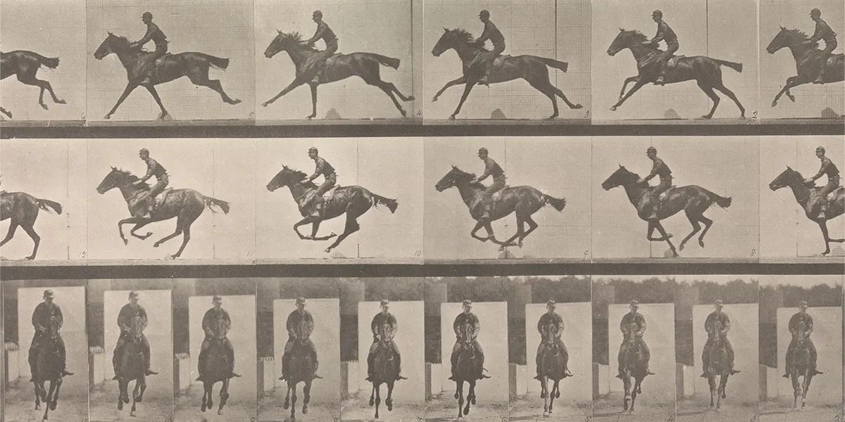 Eadweard Muybridge (1830 - 1904), Horse and Rider Galloping, Collotypie von 1887. Foto CC0 (Detail)