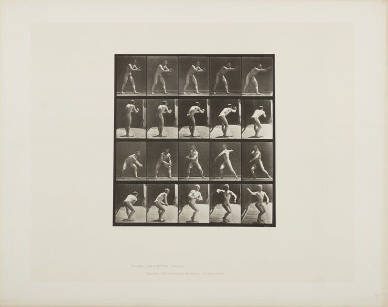 Eadweard Muybridge (1830-1904), ‘Selected Images (from Animal Locomotion)’, 1887. Photo © Sotheby's