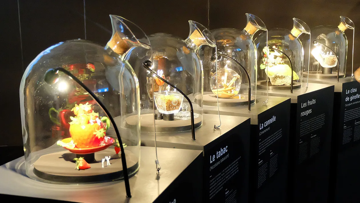En La Cité du Vin es posible oler, tocar, ver, escuchar y degustar el mundo del vino. Imagen vía: Planeta Dunia