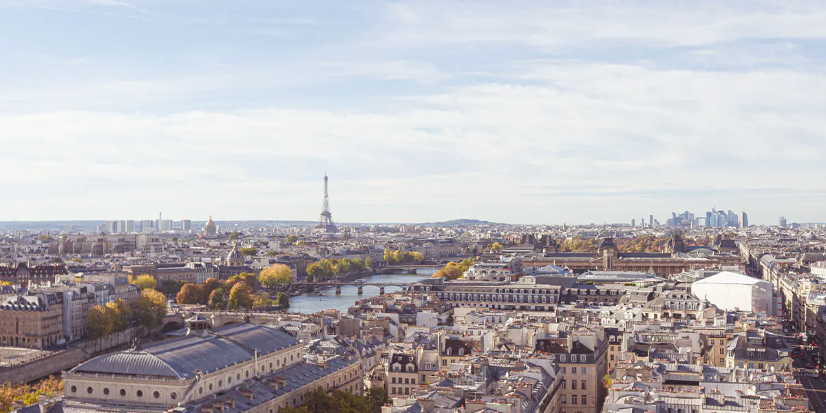 Panoramic view of Paris. Photo by Dimitri Iakymuk (detail)