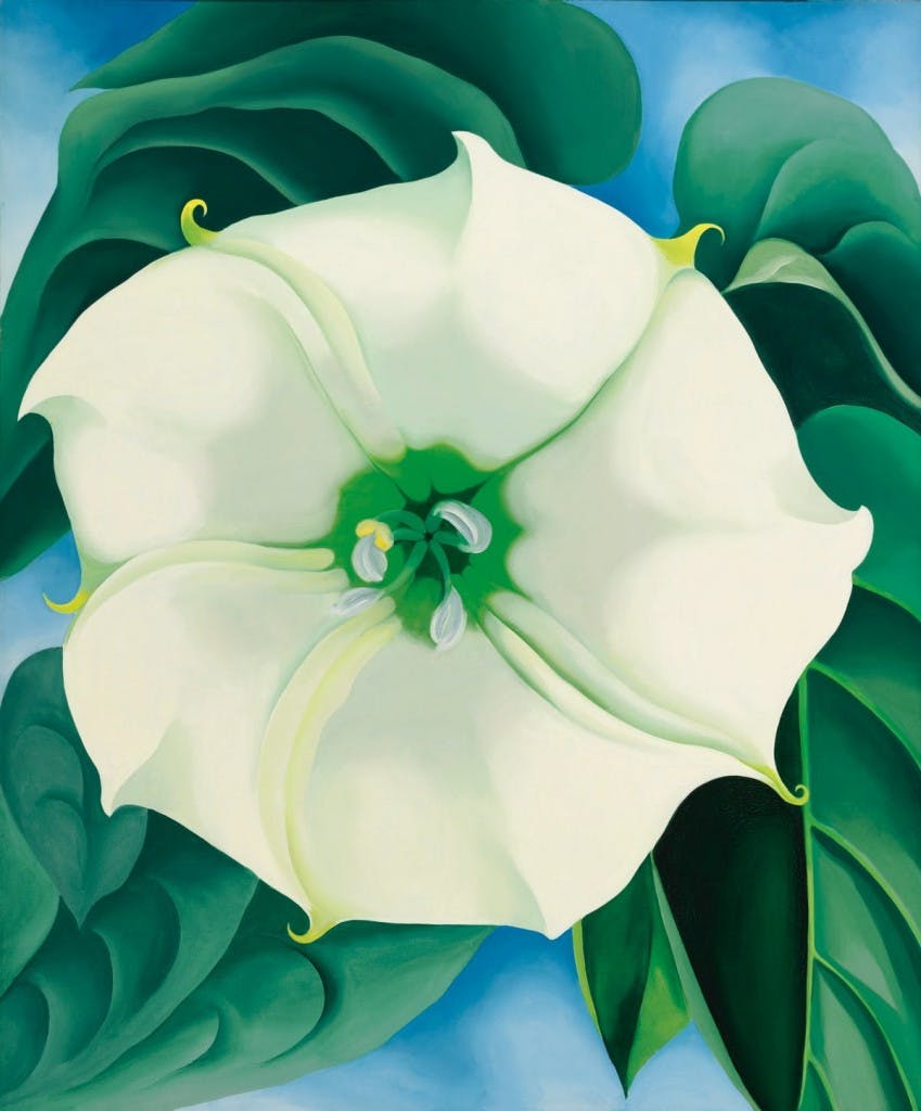 Georgia O'Keeffe, 'Jimson Weed/White Flower No. 1', 1932, olja på duk. Foto © Sotheby's