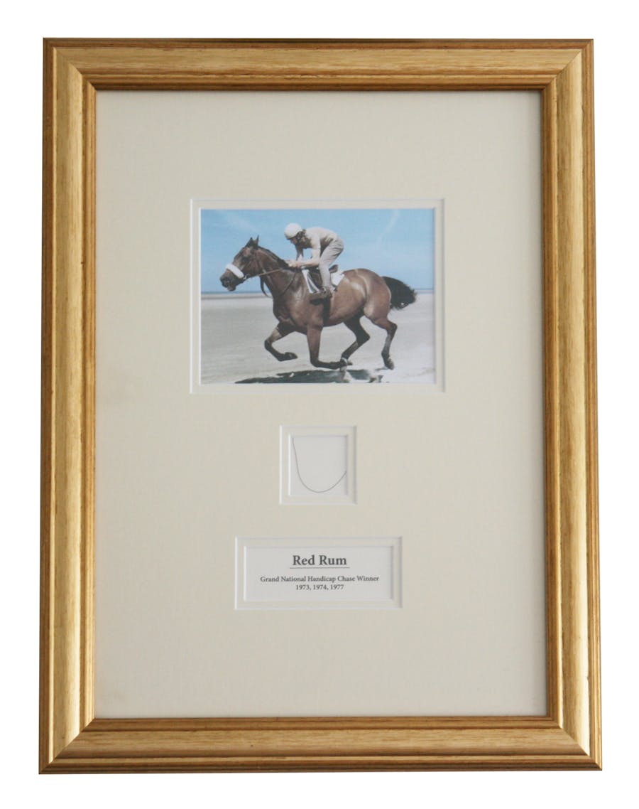 Una ciocca di peli del cavallo Red Rum. Foto: Paul Fraser Collectibles