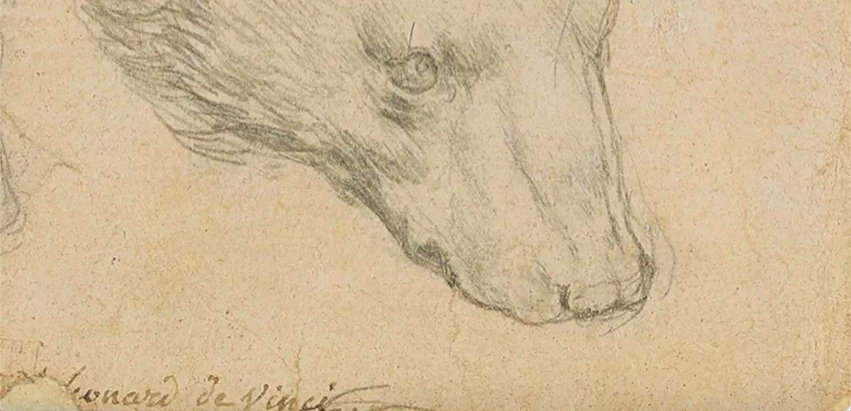 Leonardo da Vinci (1452-1519), Kopf eines Bären, Silberstift/Papier, 7 x 7 cm. Foto © Christie's2021 (Detail)