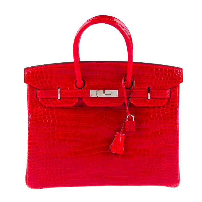 dior birkin