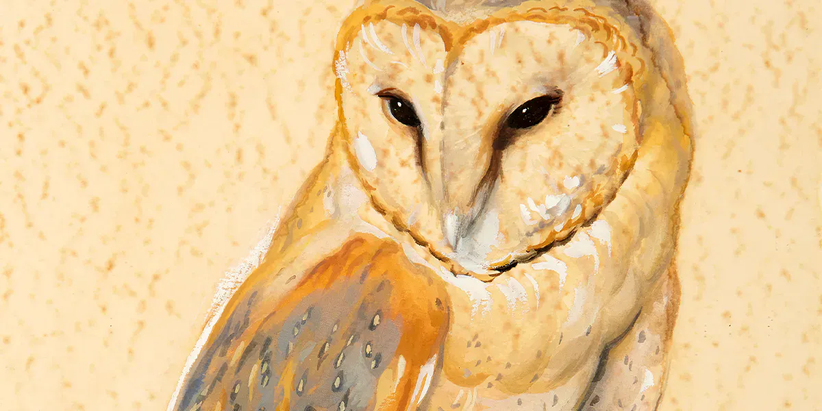 Norbertine Bresslern-Roth (1891-1978), Owl, signed, gouache and watercolor on paper, 34.5 x 22 cm. Image © Auktionshaus Zofingen (detail)
