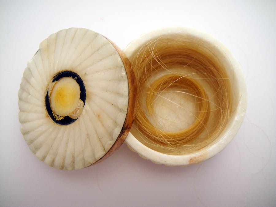 Ciocca di capelli appartenuta all'Ammiraglio Horatio Nelson. Foto: Paul Fraser Collectibles