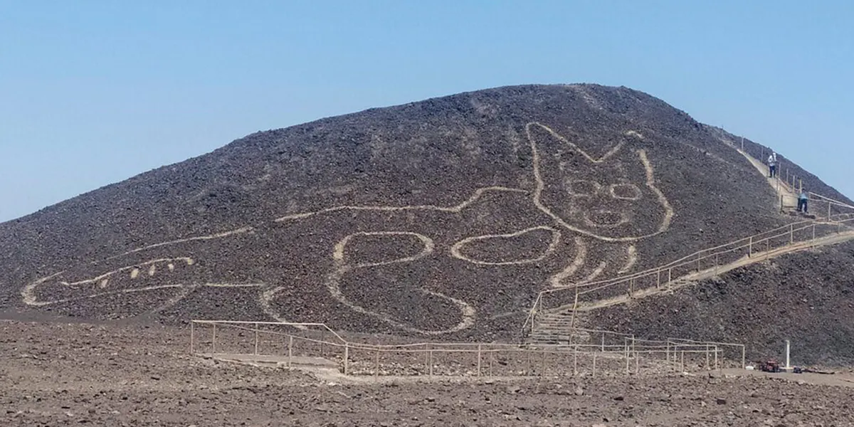 Géoglyphe en forme de chat découvert sur une colline servant de point de vue pour les autres figures du site de Nazca, au Pérou, image © Ministère de la Culture péruvien