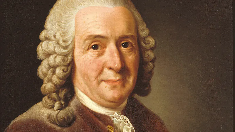 Carl von Linné, gemalt von Alexander Roslin, 1775 | Foto via Wikipedia (Detail)