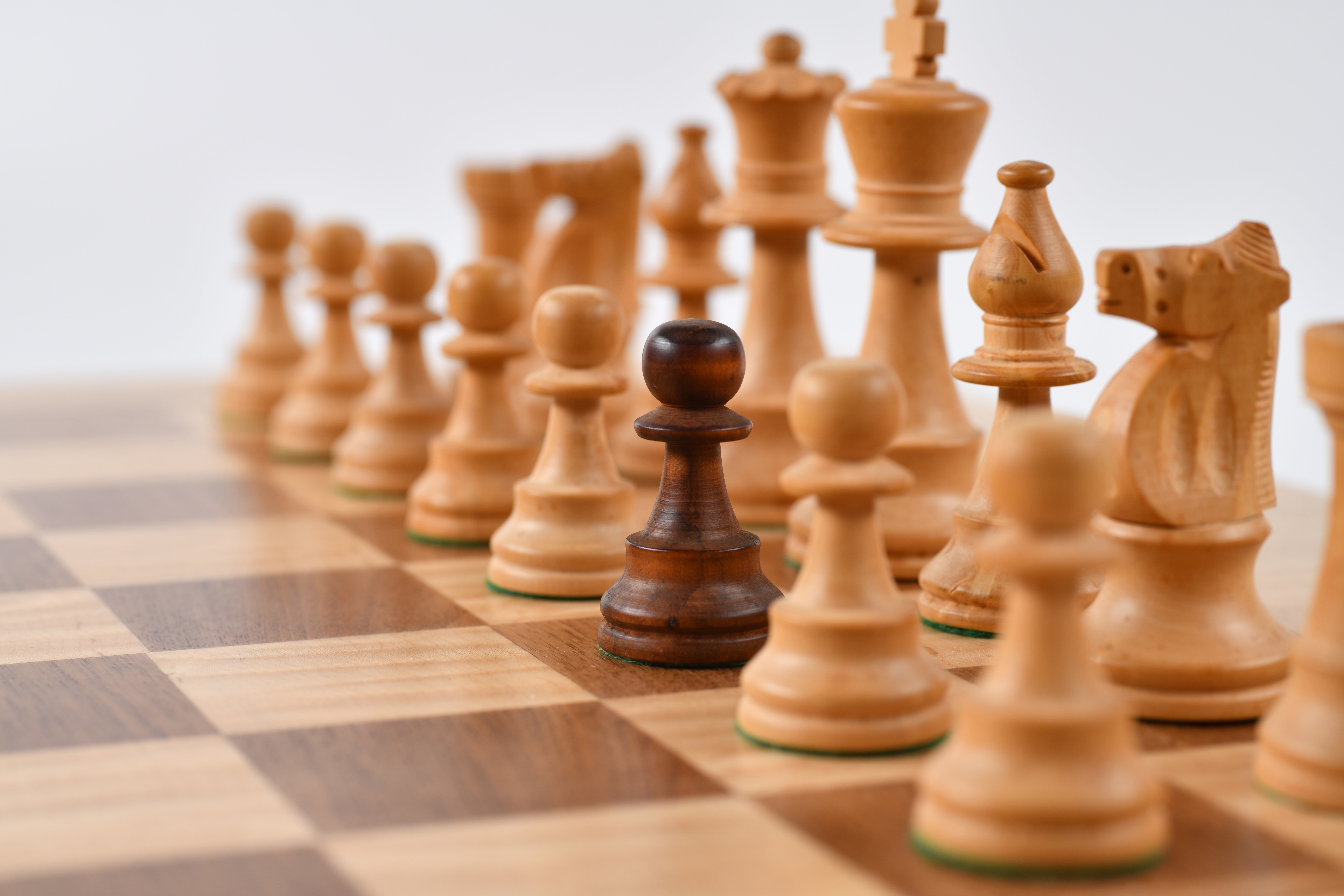 洋書 Cultural History of Chess Players 71LFOsKuOkL._UF350,350_QL50_.jpg