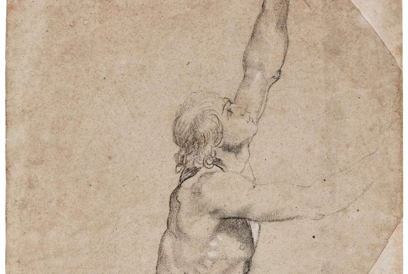 Sir Peter Paul Rubens, ‘Nude Study of a Young Man with Raised Arms’, black chalk, heightened with white, 491 x 315 mm (detail). Photo © Sotheby's