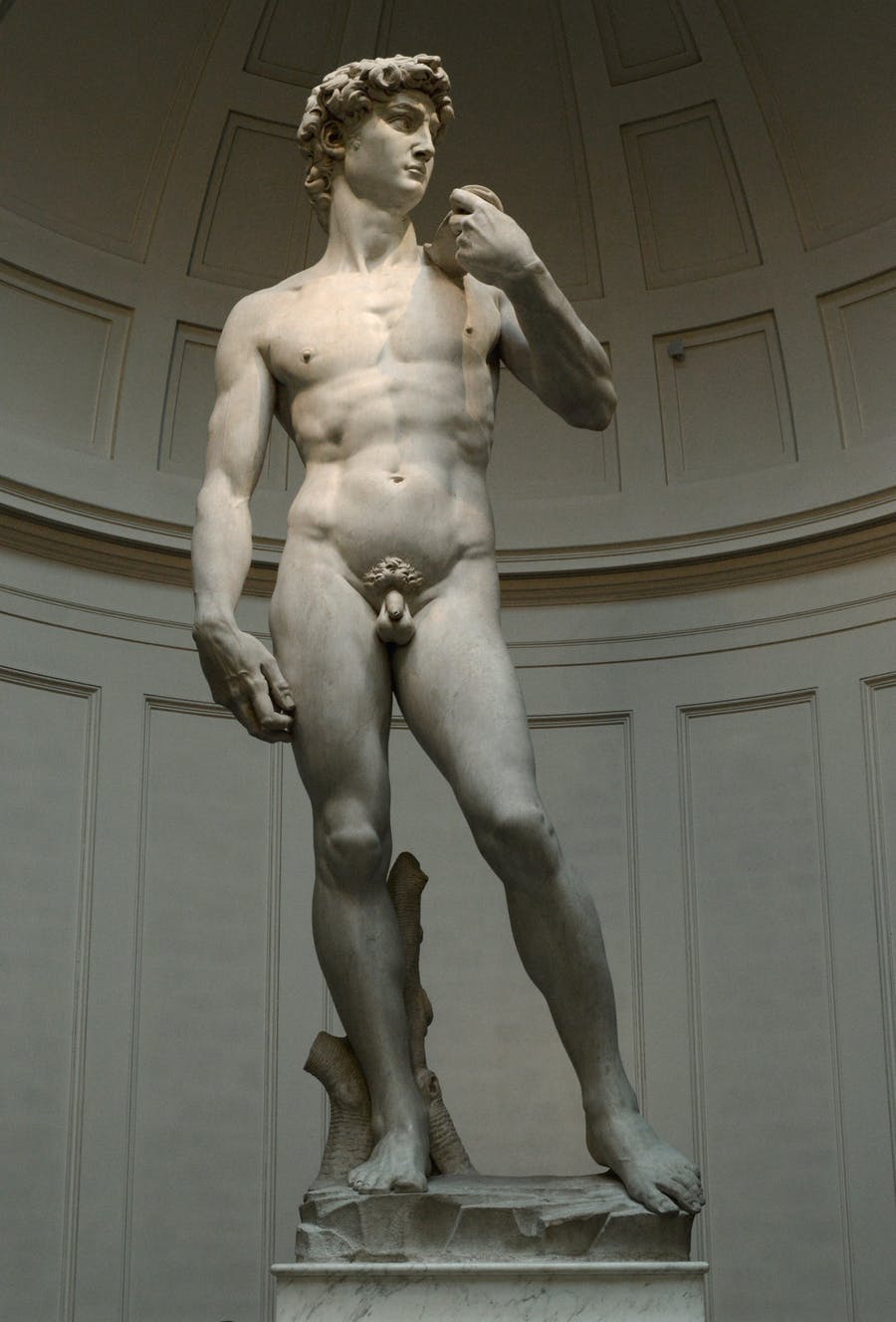 Michelangelo Buonarroti, David, 1501-1504, marble in the round, 517 cm × 199 cm, Accademia Gallery, Florence. Photo by Alex Ghizila