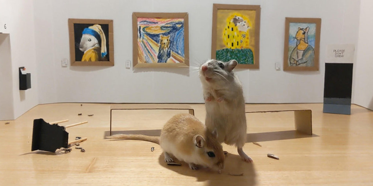 La Gerbil Art Gallery, creada por Filippo Lorenzin y Marianna Benetti para los hámsters Pandoro y Tiramisù, foto © Lorenzin / Benetti