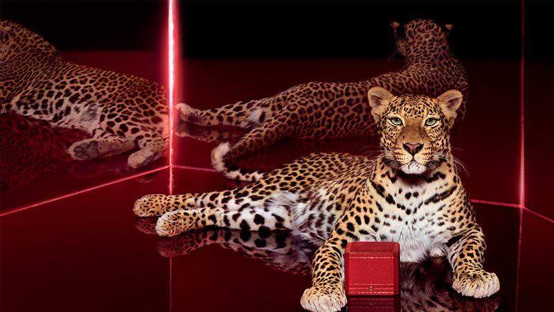 Panther by cartier hot sale