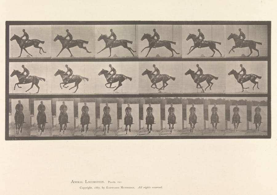 アート・デザイン・音楽 Eadweard Muybridge. Eadweard Muybridge: A Pioneer in Art and Science | Barnebys