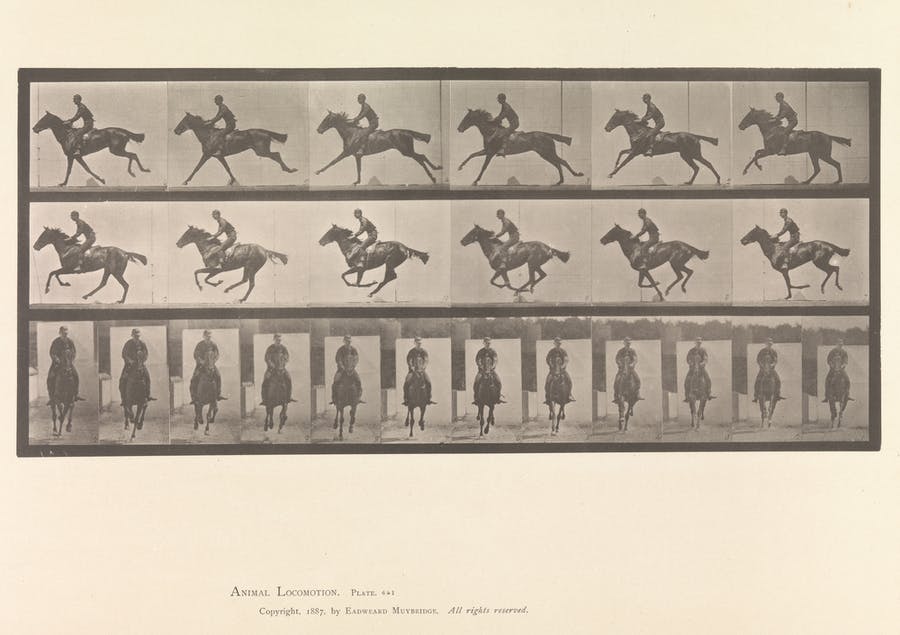 Eadweard Muybridge (1830-1904), ‘Horse and Rider Galloping’, collotype from 1887. Photo CC0