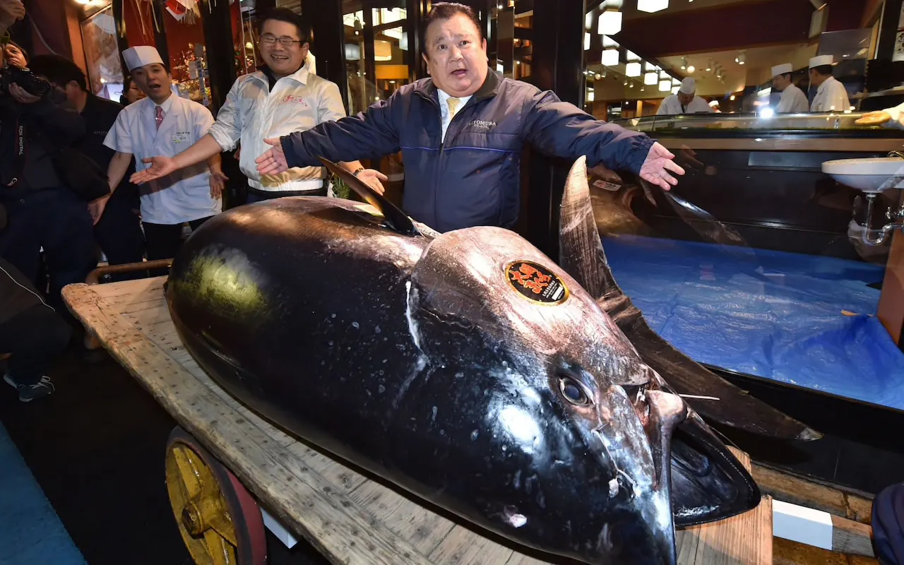 The Most Expensive Fish Ever Sold