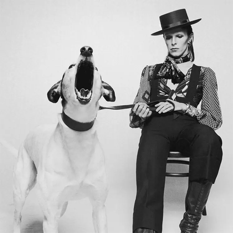The Beatles, Bowie and Elvis all under one roof?