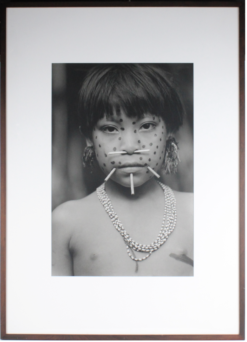 In Focus: A Distinguished Collection of Photography