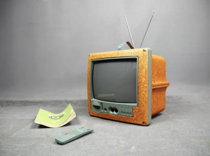 Philippe Starck for SABA, Portable TV Jim Nature, 1994. Photo: Catawiki