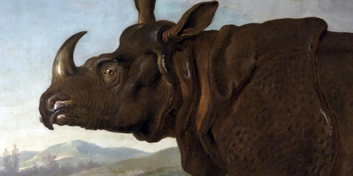 Jean-Baptiste Oudry (1686-1755), Rhinozeros, 1749, Öl/Lwd., Öl/Lwd., 306 x 453 cm, Staatliches Museum Schwerin. Foto gemeinfrei (Detail)