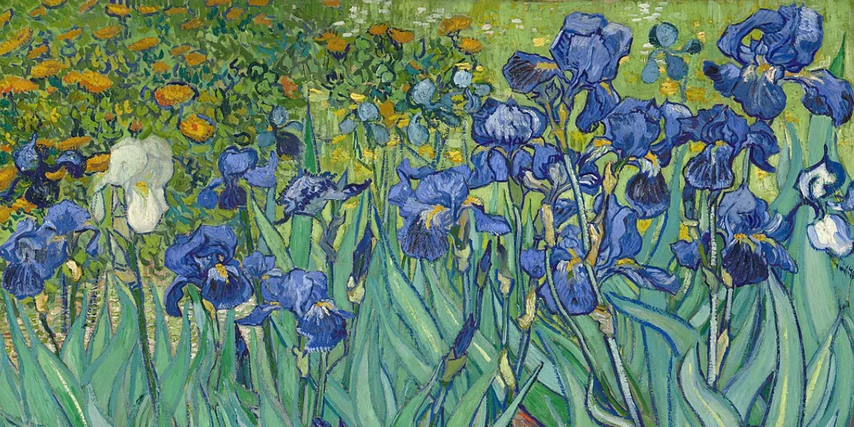 Vincent van Gogh, Irises, 1889, oil on canvas. Public domain photo (detail)