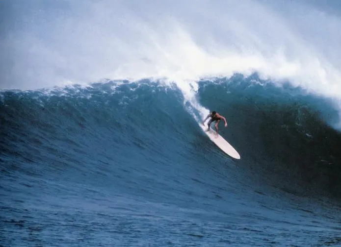 Everybody's gone surfin'