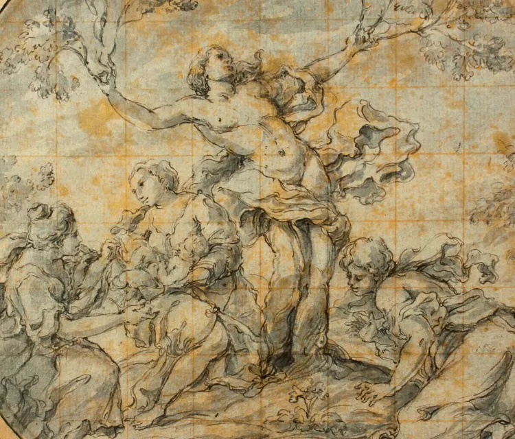 Adonis, Samson and Delilah by pencil