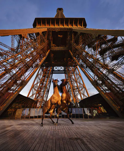 Des chevaux sur la Tour Eiffel? Paola Pivi l'a fait!