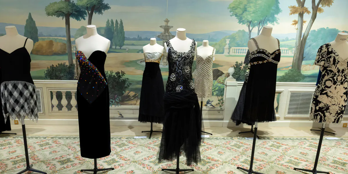PARIGI, FRANCIA - 28 GENNAIO: Una panoramica della collezione di Mouna Ayoub al Bristol prima dell'asta di Mouna Ayoub organizzata da Maurice Auction il 28 gennaio 2026 a Parigi, Francia. (Foto di Luc Castel/Getty Images) (dettaglio)