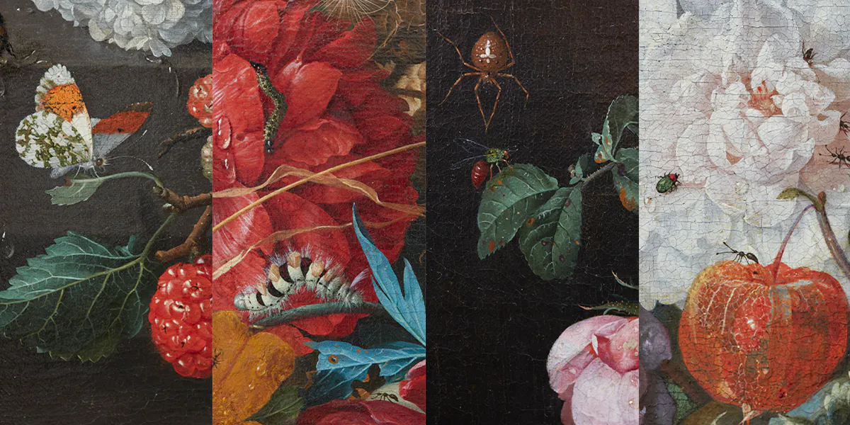 Details aus Jan Davidsz. de Heems "Stillleben mit Blumen und Früchten auf einer Steinkonsole". Fotos © Lempertz (Details)
