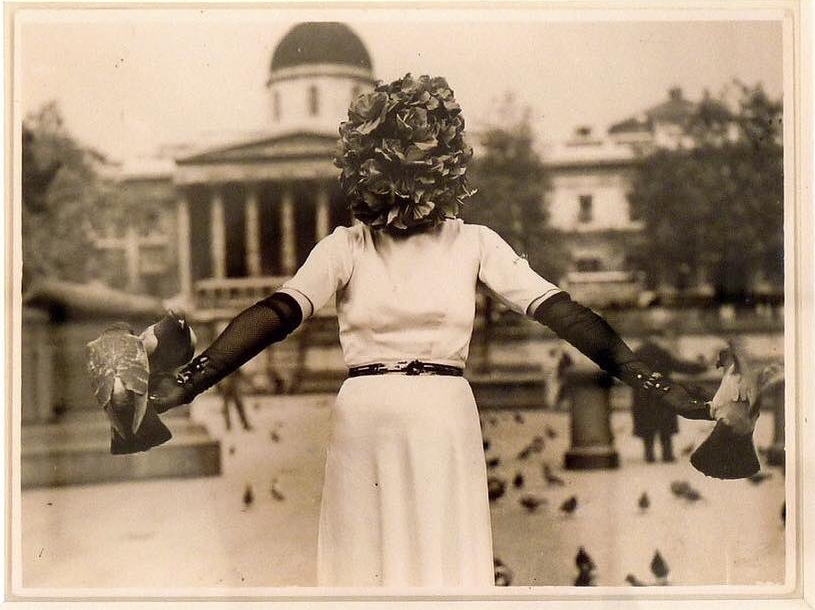 af6672c9903cdd1678dcb8e536f833