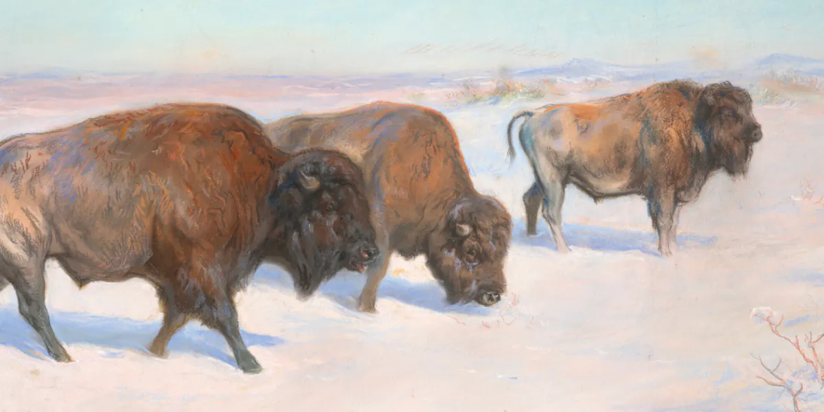 Rosa Bonheur, L'émigration des bisons, pastello su carta beige, 1896 © Christie's (dettaglio)