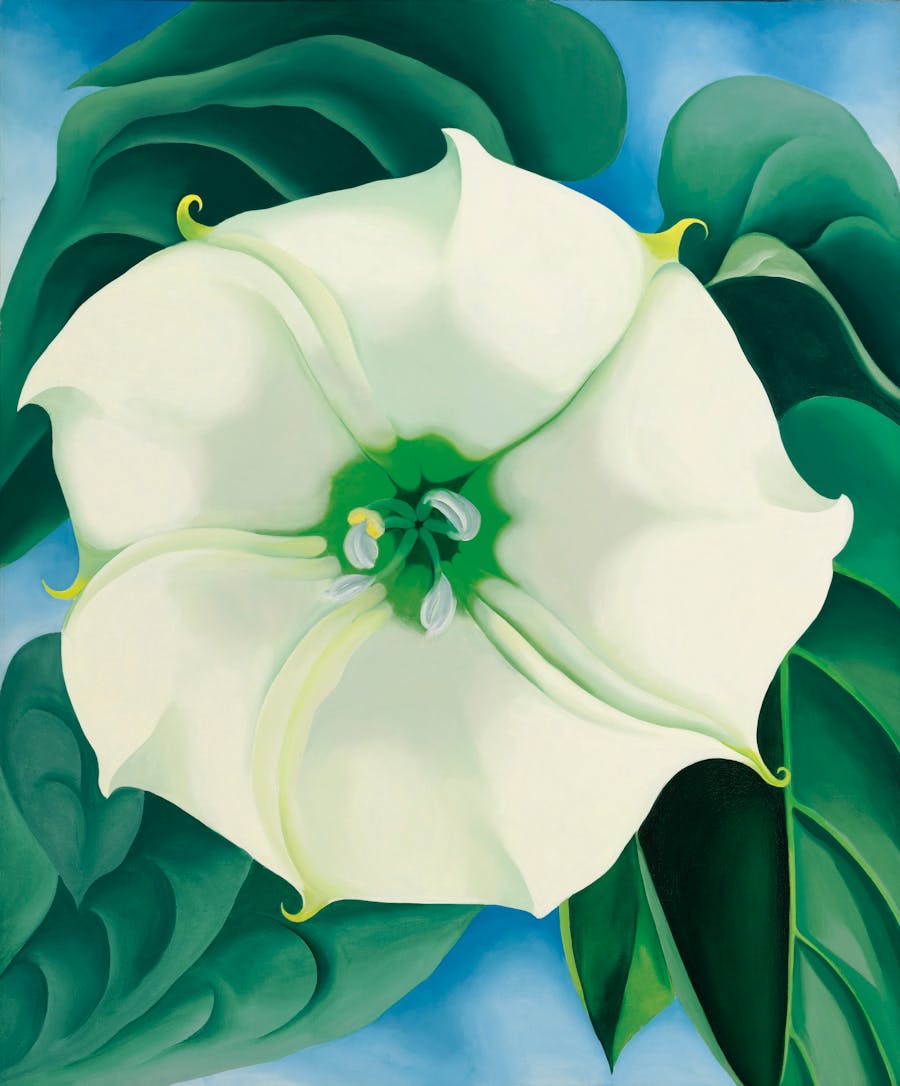 Georgia O'Keeffe (1887 - 1986), ‘Jimson Weed/White Flower No.1’, 1932, oil on canvas, 121.9 cm x 101.6 cm. Photo: Sotheby’s