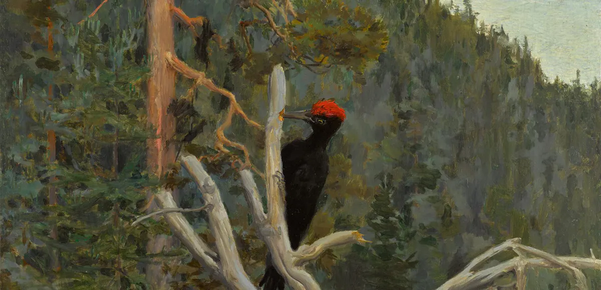 Akseli Gallen-Kallela, Palokärki (detalj), 1892-1894, olja på duk. Foto: © Sotheby's