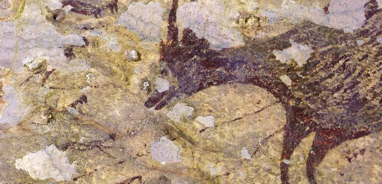 Ein Teil der in Indonesien entdeckten Höhlenmalerei, die das dort endemische Anoa-Rind darstellt | Foto: © Ratno Sardi (Detail)