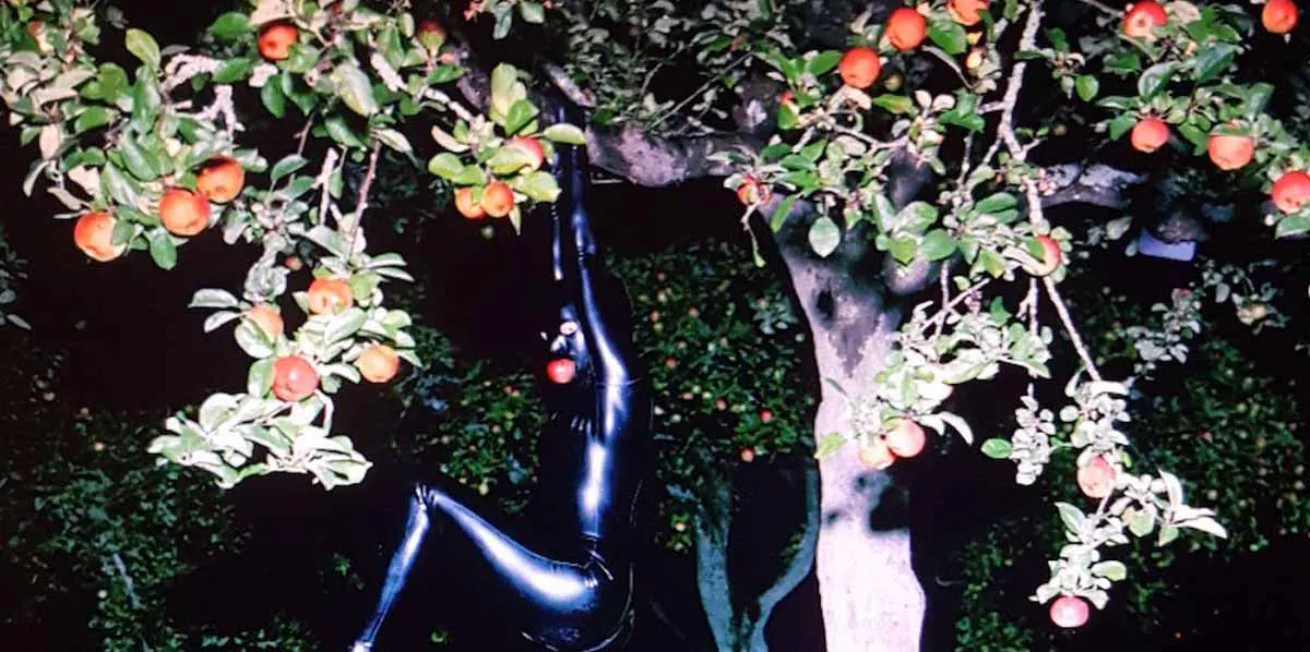 Aia Jüdes, 'Longing for apples', svart ljuslåda i MDF med lysrör och plexiglas. Foto: Aia Jüdes