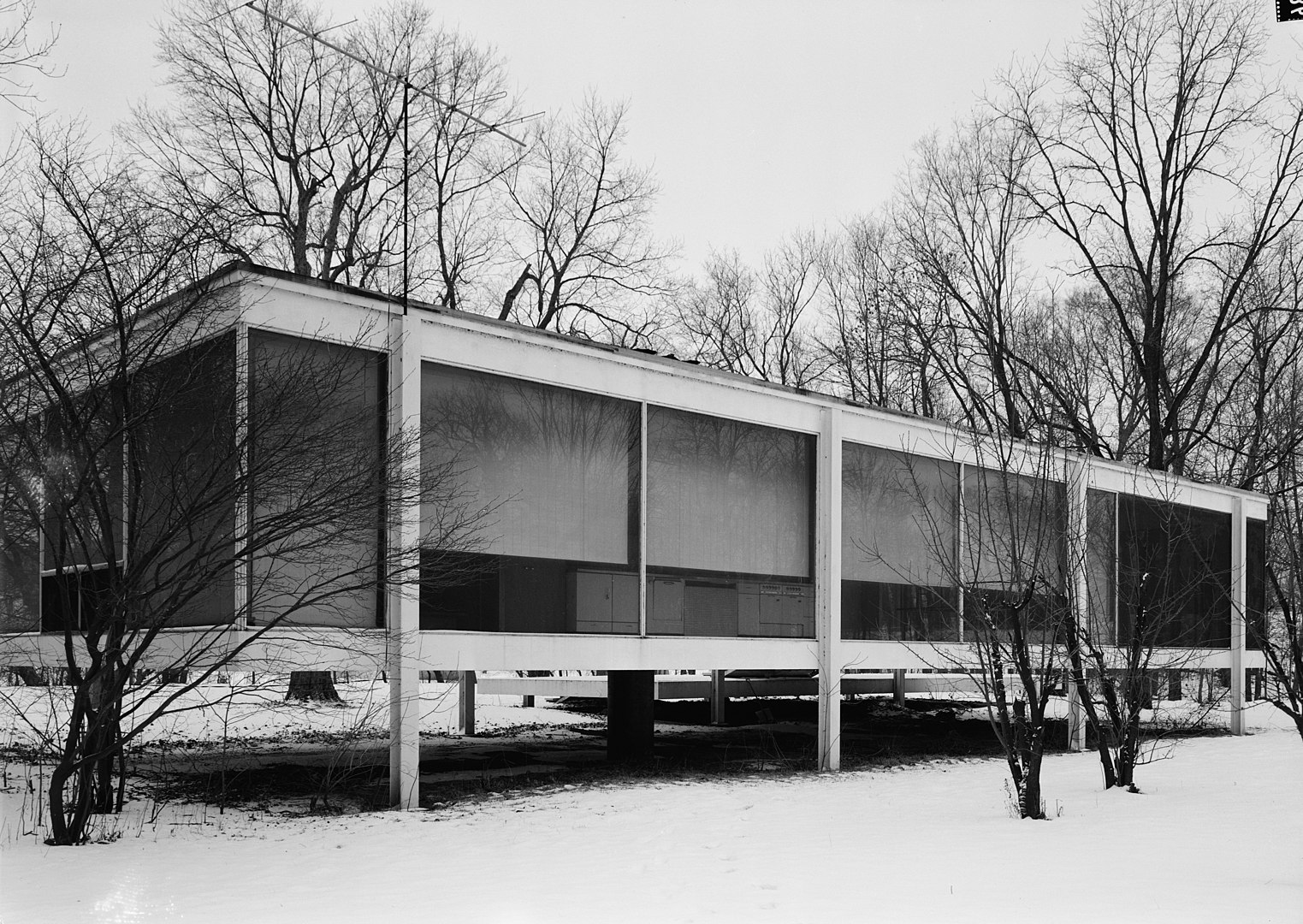 額装済/mies van der rohe/バウハウス rohe/バウハウス van 額装済/mies der
