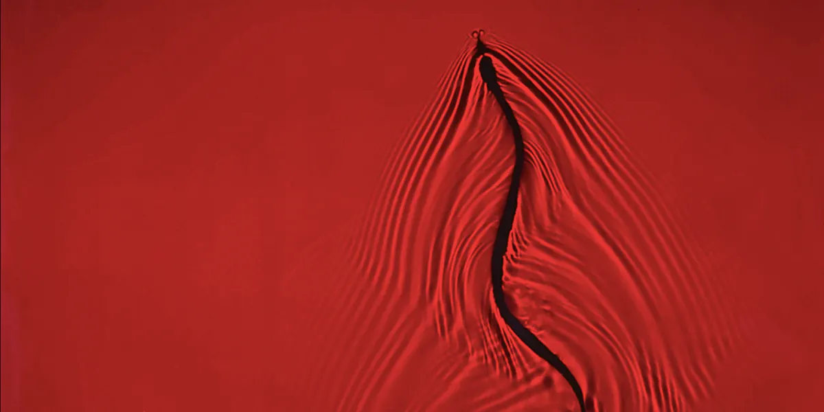 Adam Fuss, 'Untitled (Red Snake in Water), unique cibachrome print, 99 x 71 cm (detail). Photo © Bellmans Auctioneers