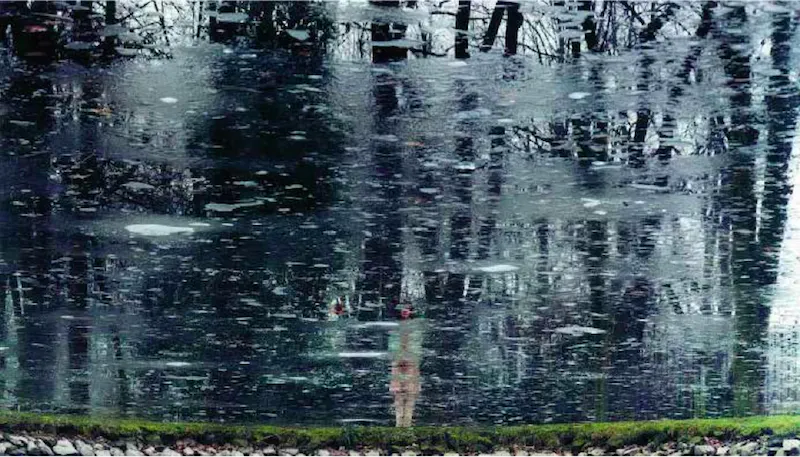 Axel Hütte Portrait #16, 2004 Edition de 4 Galerie K