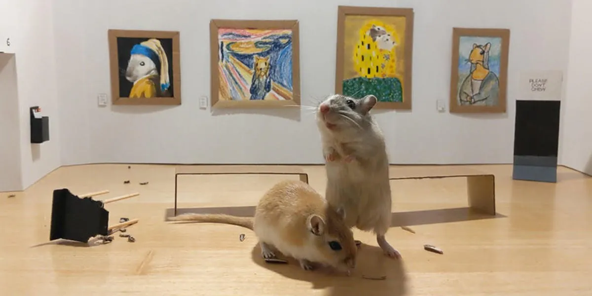 The Gerbil Art Gallery, created by Filippo Lorenzin and Marianna Benetti for their pet gerbils. Image © Lorenzin / Benetti