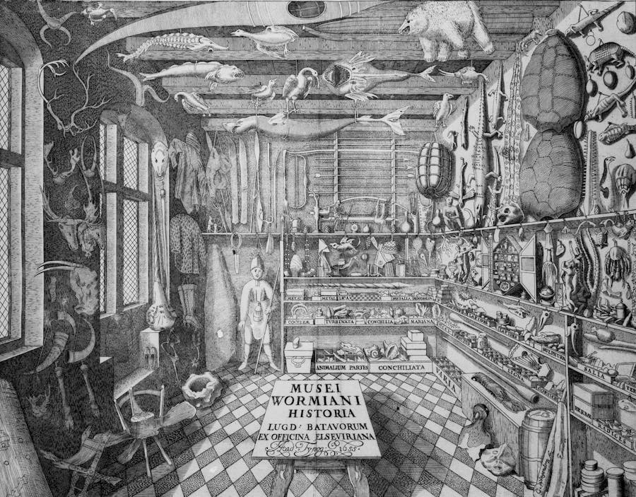 Musei Wormiani Historia, the frontispiece of the Museum Wormianum depicting Ole Worm's Cabinet of Curiosities. Ole Worm, CC BY 4.0 License, via Wikimedia Commons