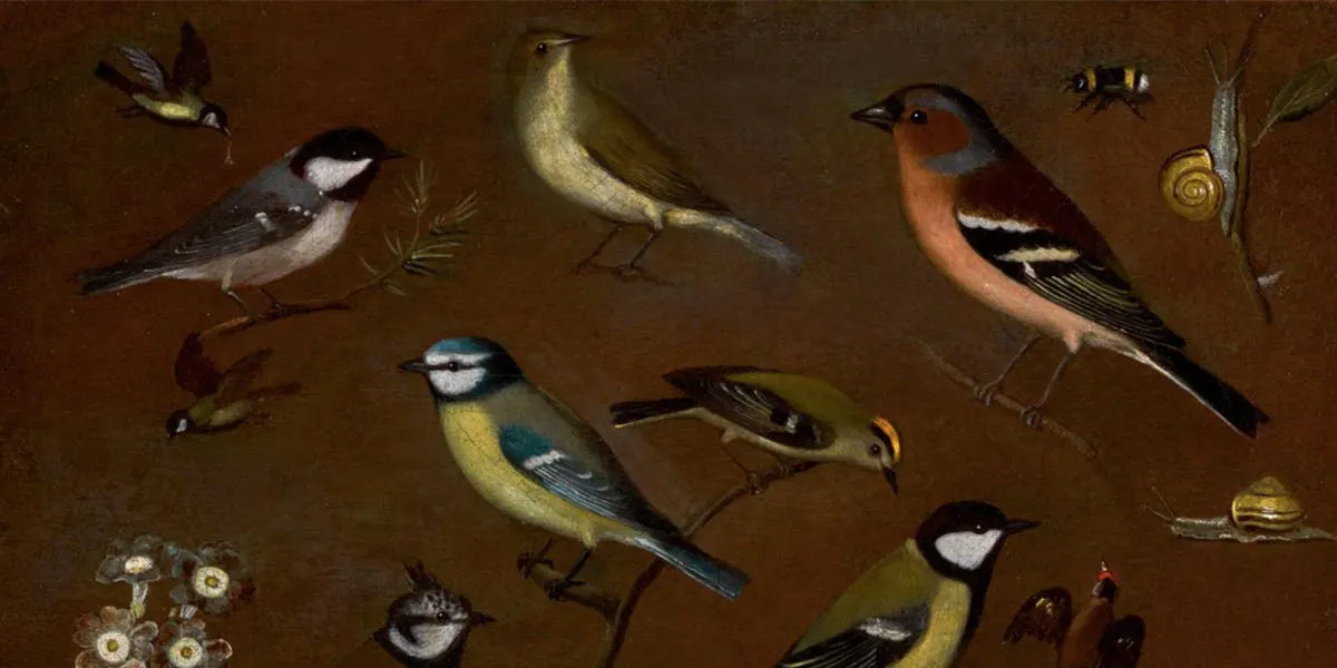 Orsola Maddalena Caccia (1596 Moncalvo 1676), Still Life with Birds, Including Marsh Tit, Zilpzalp, Chaffinch, Blue Tit, Winter Golden Chicken, Lapwing and Great Tit, Oil / canvas. | Photo: © Sotheby's (detail)