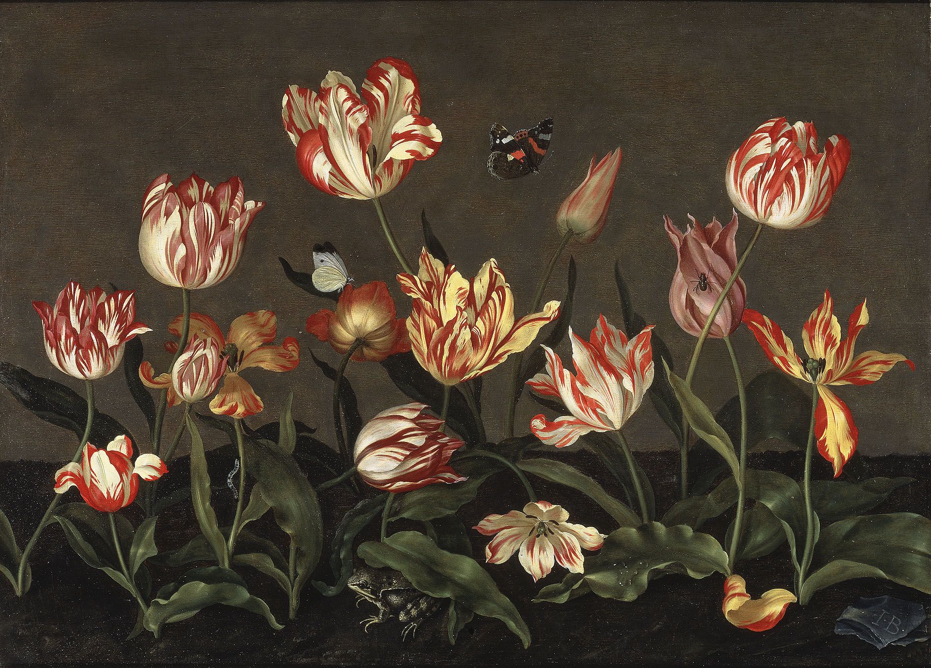 Den underbara skildringen av en holländsk tulpanodling. Johannes Bosschaerts 'Still Life with Tulips' från 1628 hänger på Nationalmuseum i Stockholm. Foto © Nationalmuseum (detalj)