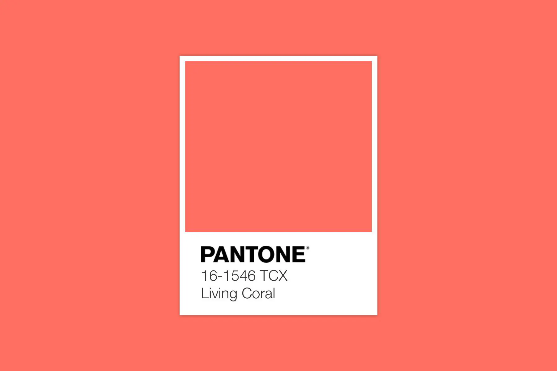 Pantone beger sig ner i havets djup