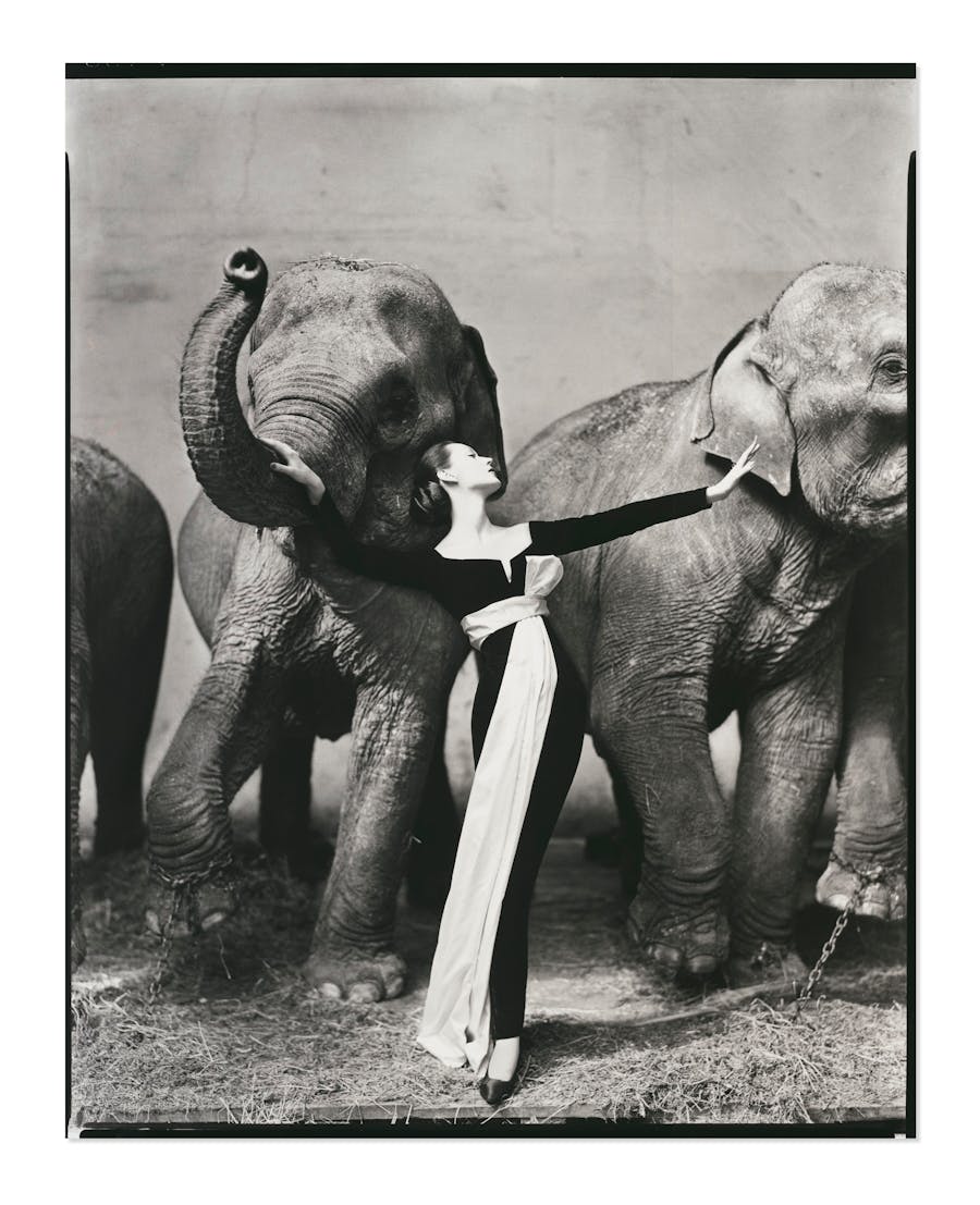 Richard Avedon, Dovima con elefanti, abito da sera Dior, Cirque d'Hiver, Paris, 1955. Foto: Christie's