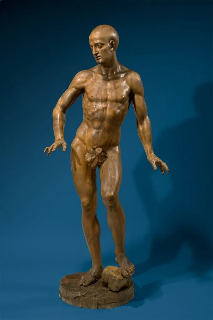  FRANZ XAVER SEEGEN. Modelo académico de desnudo masculino. Firmado y fechado (1783)