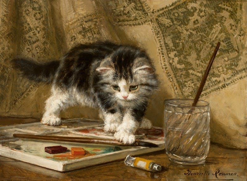 henriette ronner knip modelle mit samtpfoten barnebys magazin