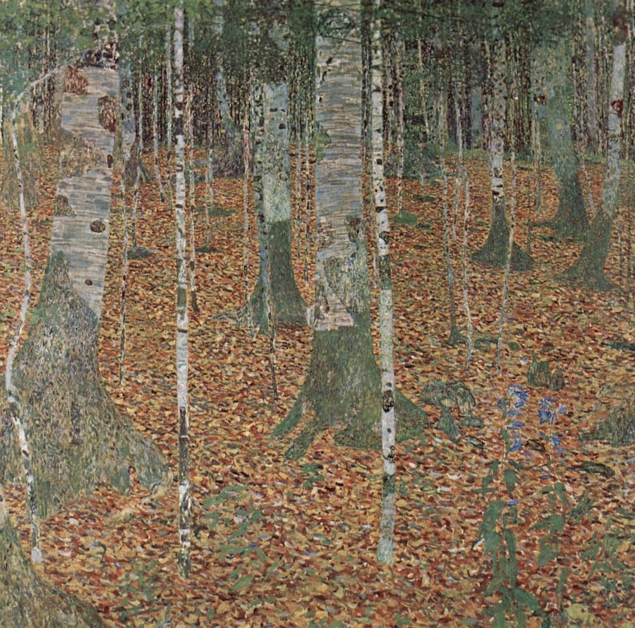 Gustav Klimt, Forêt de bouleaux en automne (Birkenwald I), 1903, Paul G. Allen Family Collection, The Yorck Project, domaine public